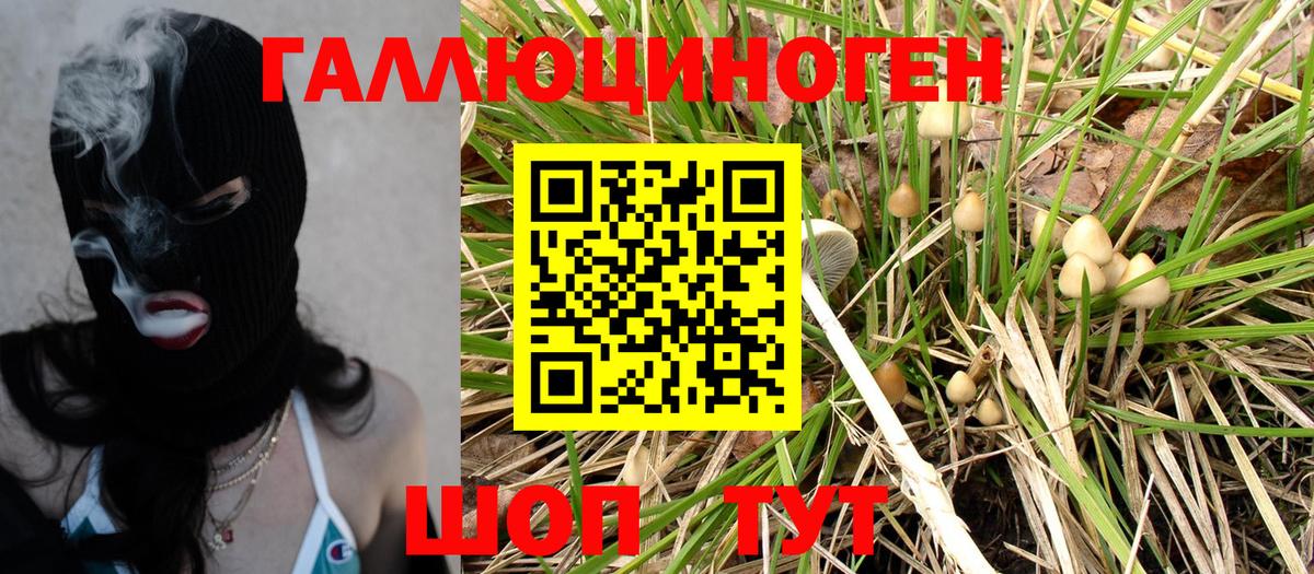 Галлюциногенные грибы MAGIC MUSHROOMS Россошь